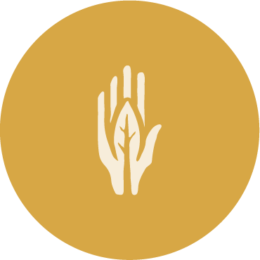 Mestiza Latin Kitchen logo